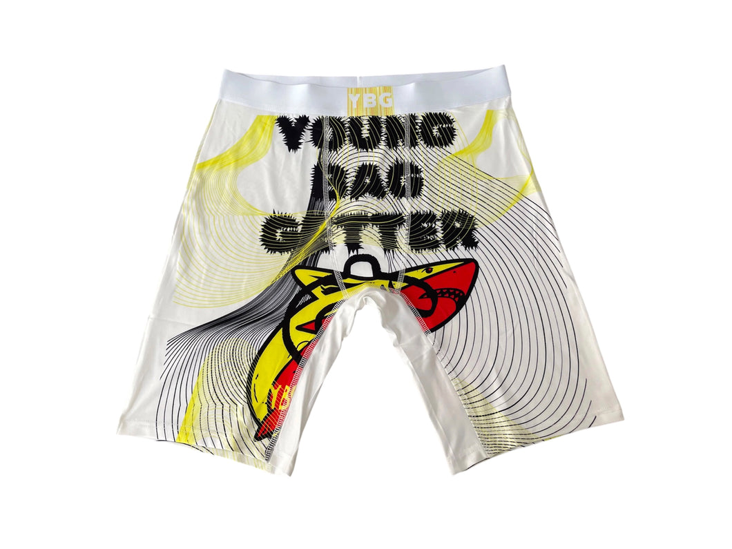 YBG SHARK BRIEFS